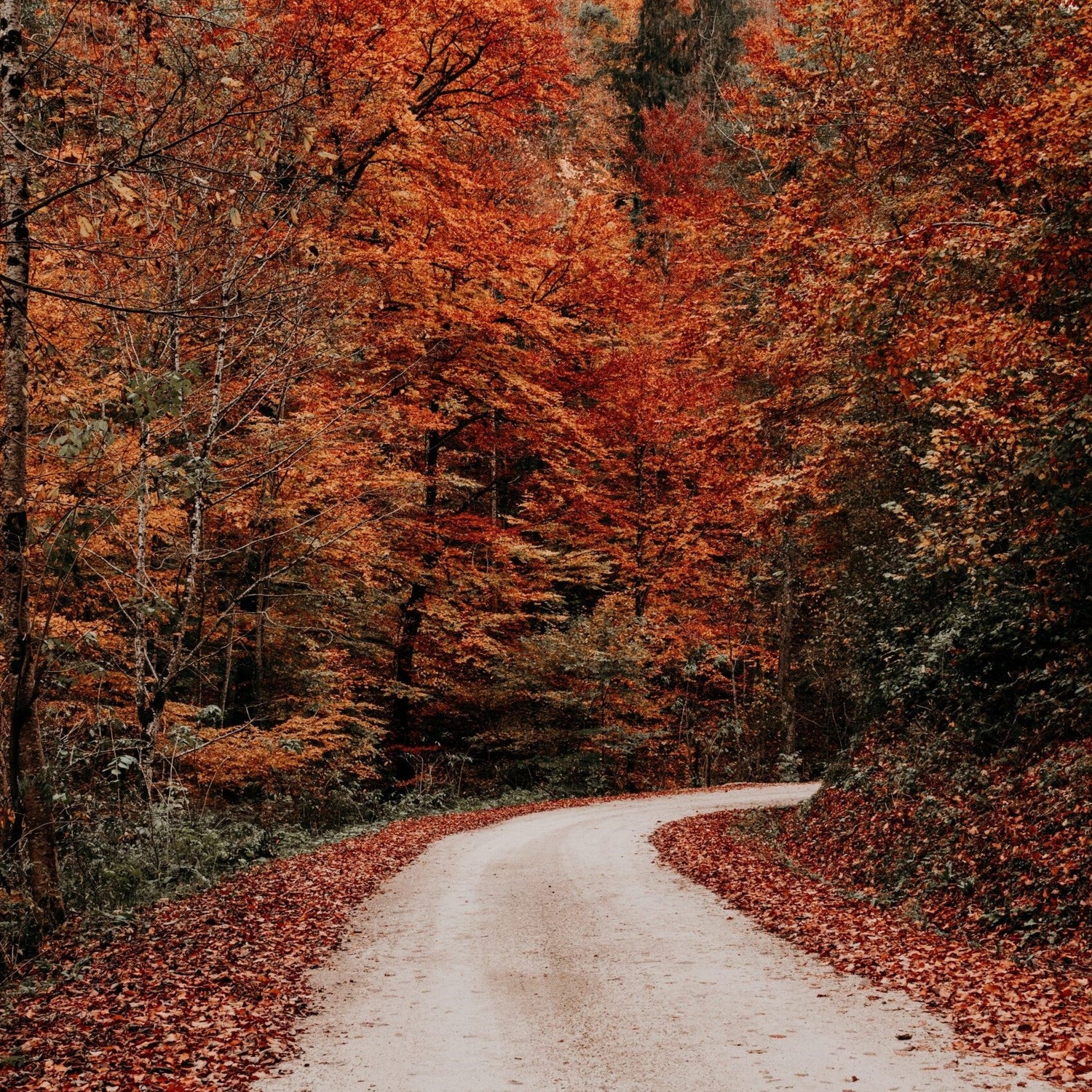 Fall